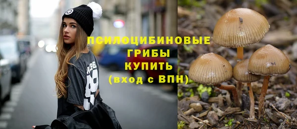 прущий лед Каменногорск