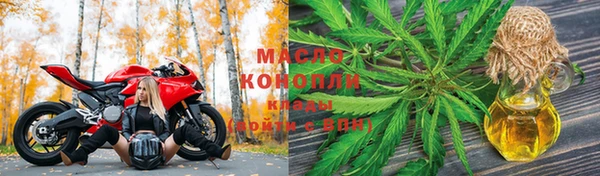 хмурый Касимов