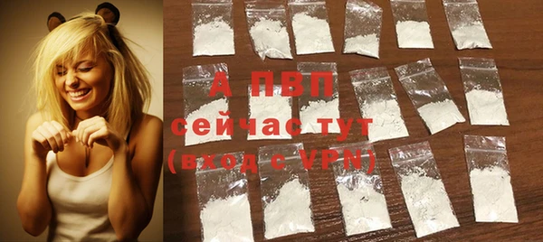хмурый Касимов
