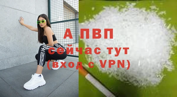 хмурый Касимов